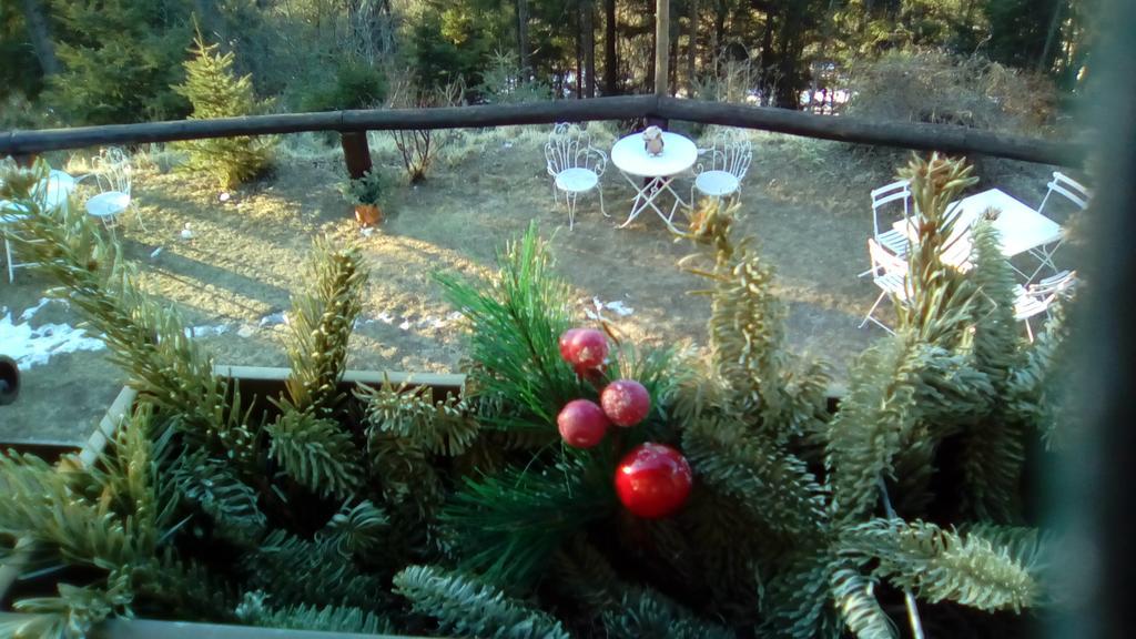 Apartament Abetina Levico Terme Zewnętrze zdjęcie