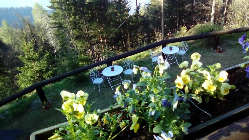 Apartament Abetina Levico Terme Zewnętrze zdjęcie