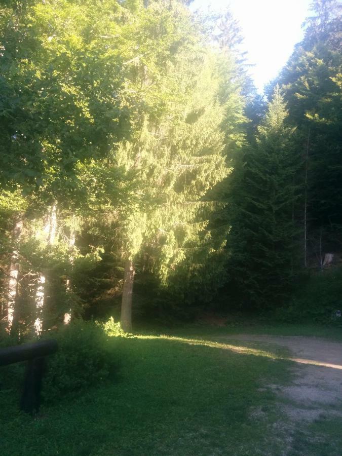 Apartament Abetina Levico Terme Zewnętrze zdjęcie
