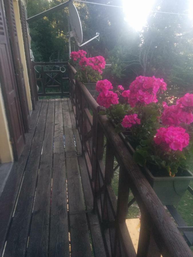 Apartament Abetina Levico Terme Zewnętrze zdjęcie